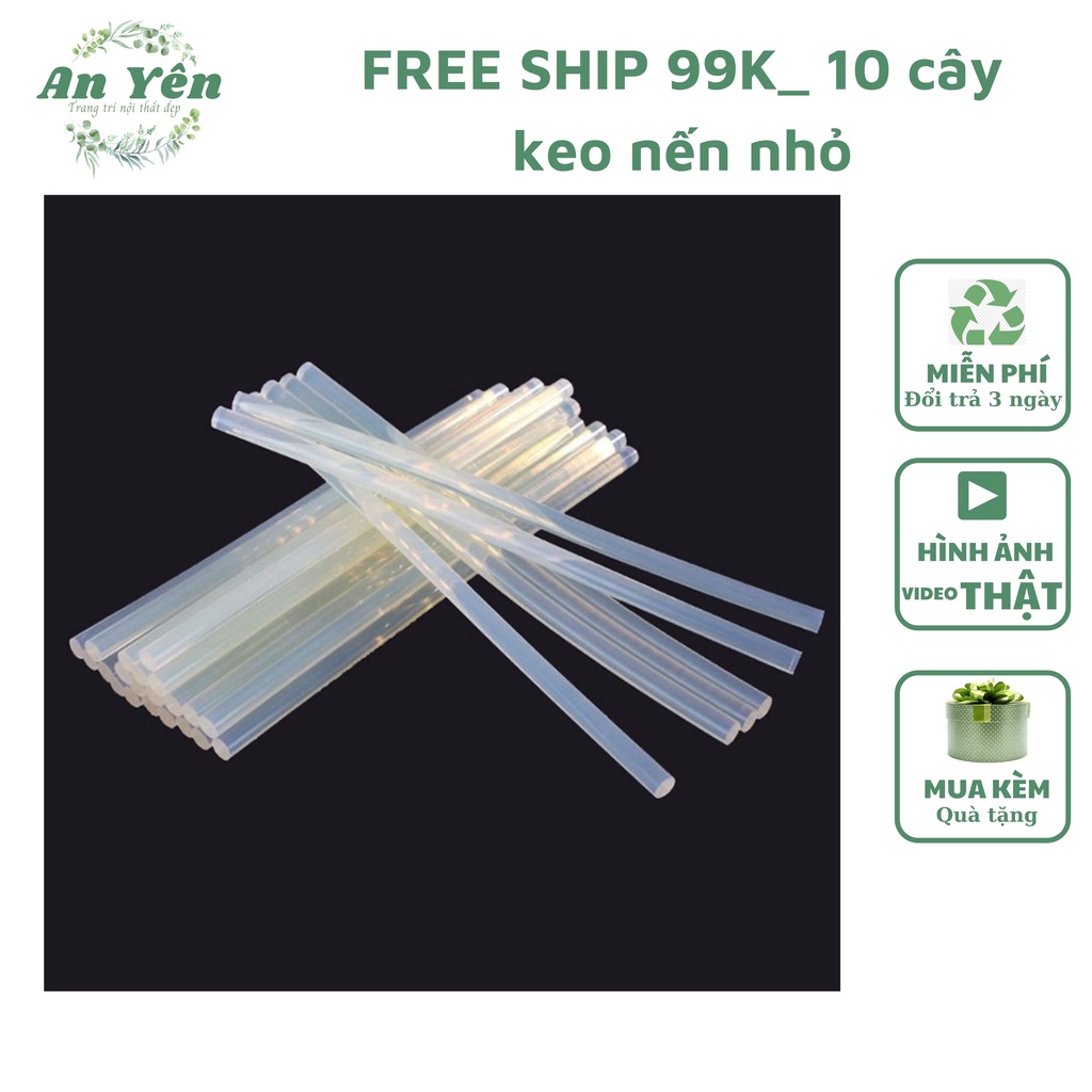 10 cây keo nến nhỏ