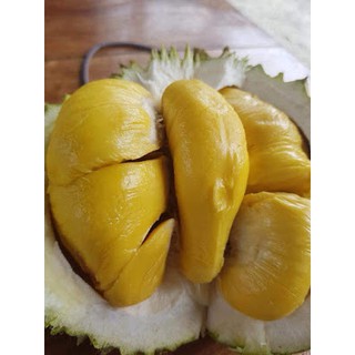 Sầu Riêng MusangKing