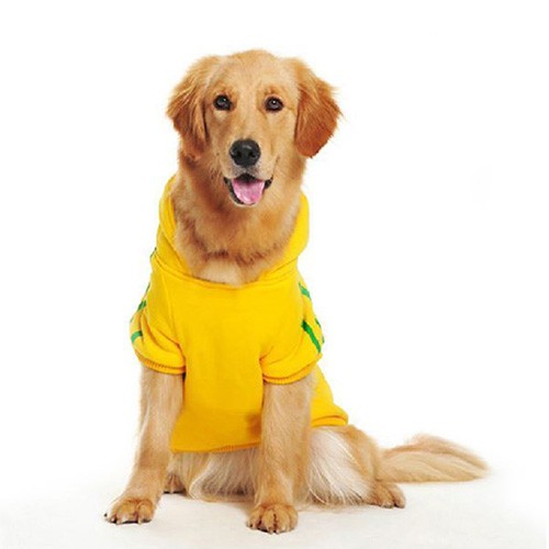 Áo hoodie màu trơn dễ thương cho chó mèo cưng