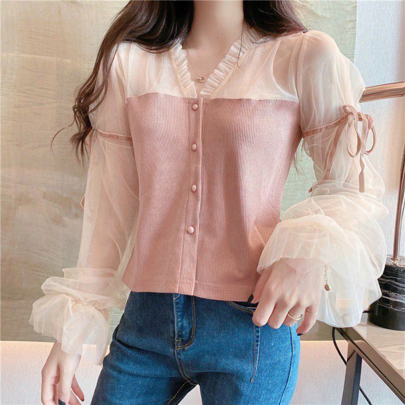 Women's Mesh Gauze Slim Puff Sleeve Long Sleeve Shirt | BigBuy360 - bigbuy360.vn