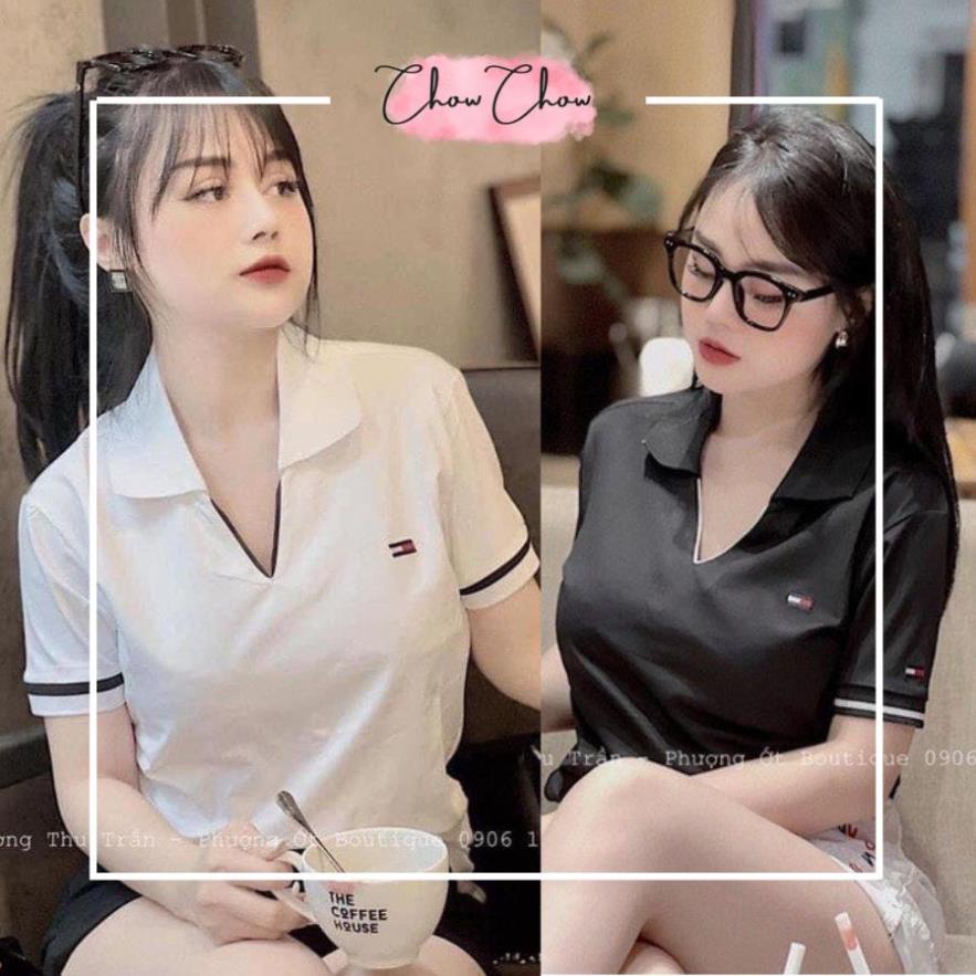 Áo polo nữ Tommy hàng ĐẸP CAO CẤP cổ V phối màu Đen Trắng, áo phông nữ polo Tommy cổ bẻ chữ V, Áo thun nữ cổ bẻ BIGSIZE