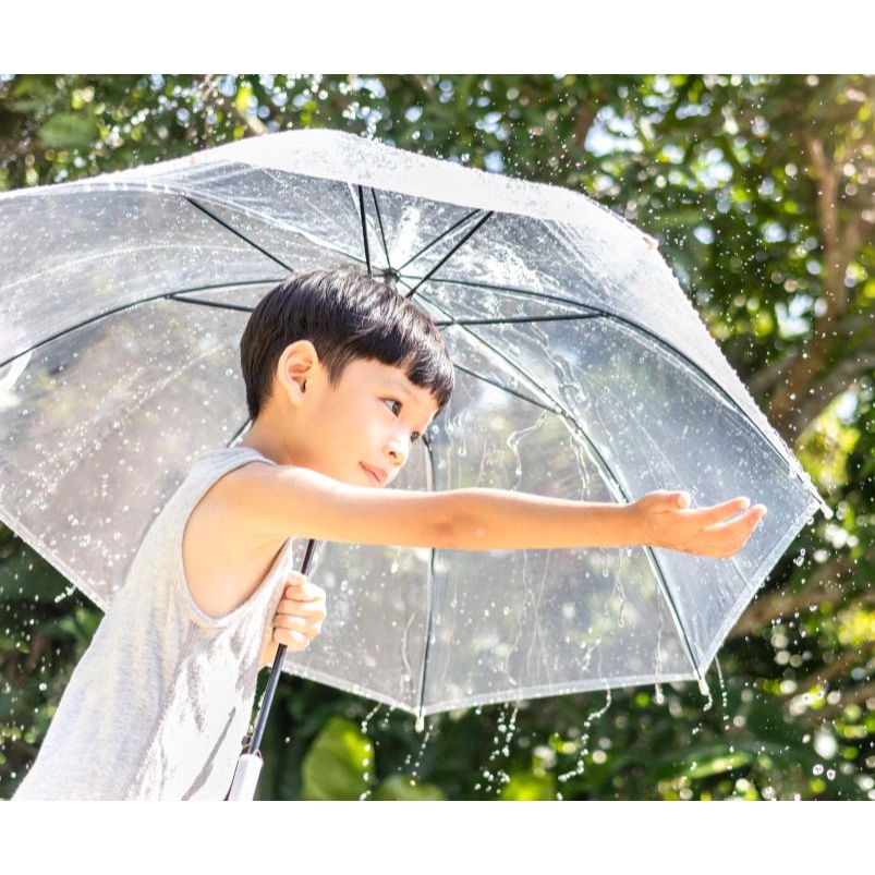 Ô Dù Trong Suốt KAW Siêu Xinh - Ô Dù 16 Nan Chắc Chắn, Thích Hợp Chụp Ảnh, Che Mưa, Dã Ngoại Ngoài Trời