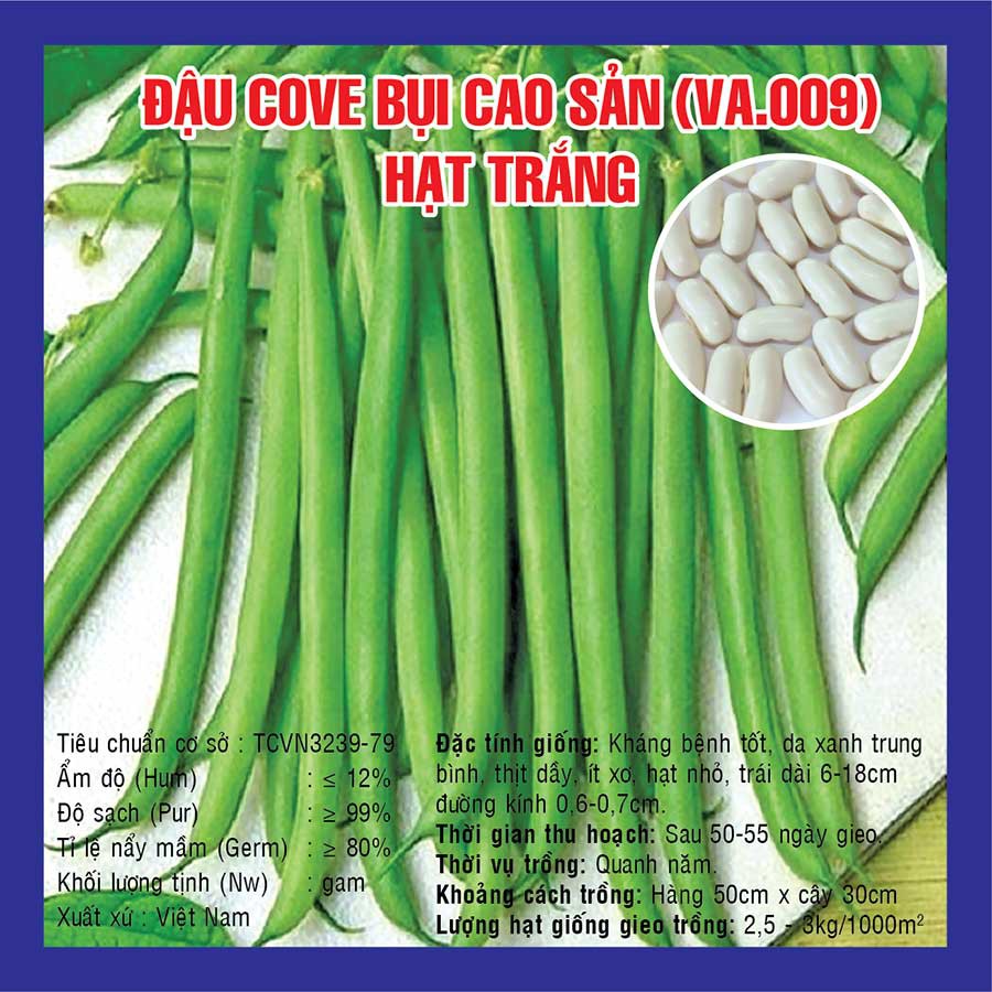 Hạt Giống Đậu Cove Bụi Cao Sản Hạt Trắng