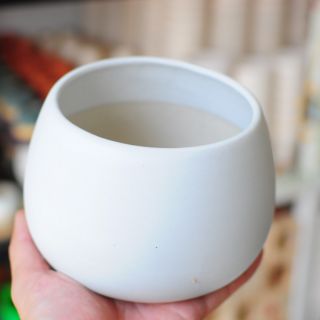 Chậu hạt dẻ 12cm