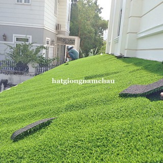 10GR - HẠT GIỐNG CỎ NHUNG NHẬT