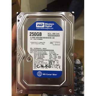 {HOT} Ổ cứng HDD WD 250GB Blue WD2500AAKX {Còn hàng} | BigBuy360 - bigbuy360.vn