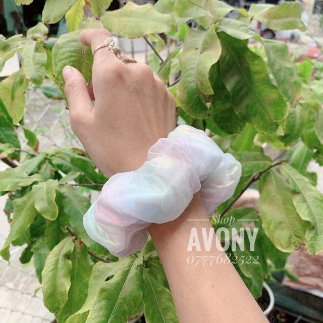 𝑺𝑪𝑹𝑼𝑵𝑪𝑯𝑰𝑬𝑺- cầu vòng ánh bạc