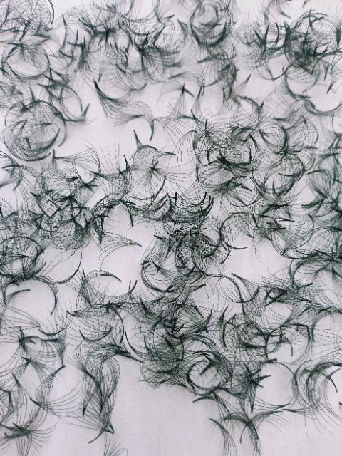 Mi fan 6d - hộp 1000 fan