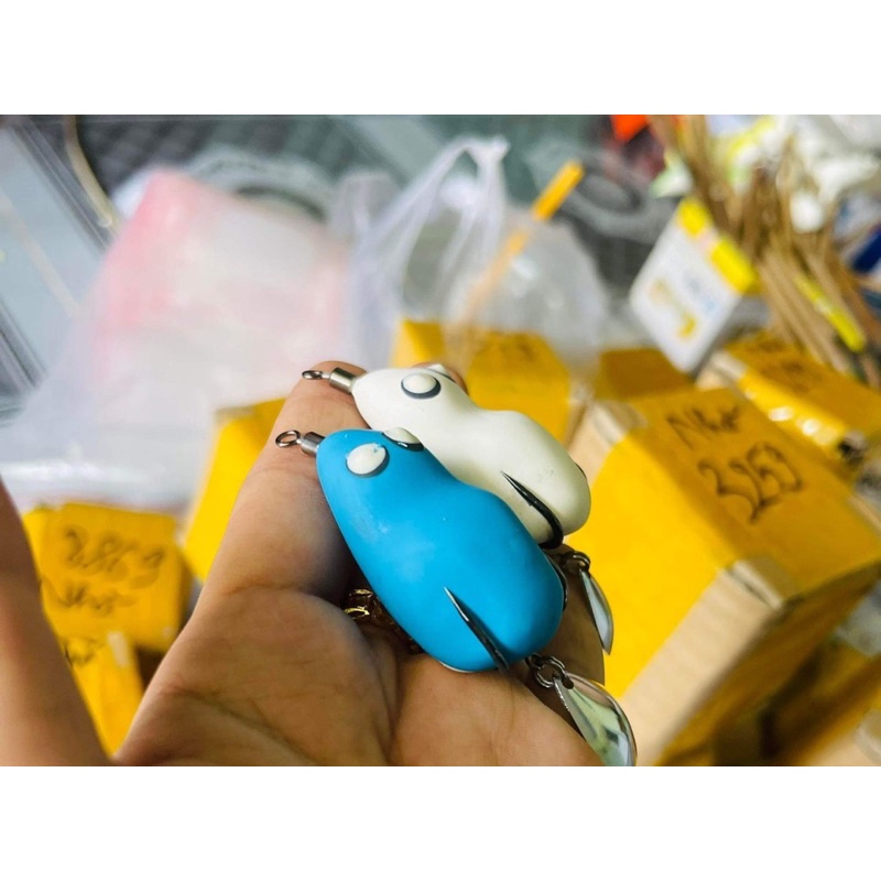 NHÁI HƠI NGỌC TRINH 4.5 cm