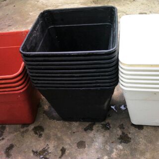 Chậu vuông 14cmx cao12cm
