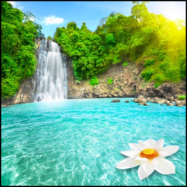 Tranh dán tường dán kiếng trang trí spa beauty salon tiệm nail tiệm tóc nhiều mẫu mã và kích thước khổ vuông