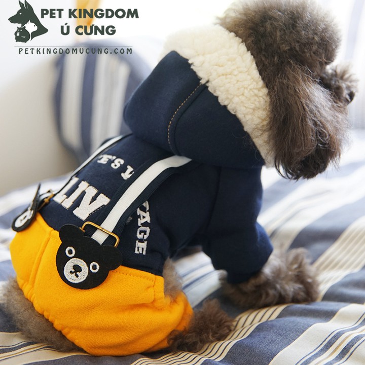 Quần áo chó mèo - gấu teddy