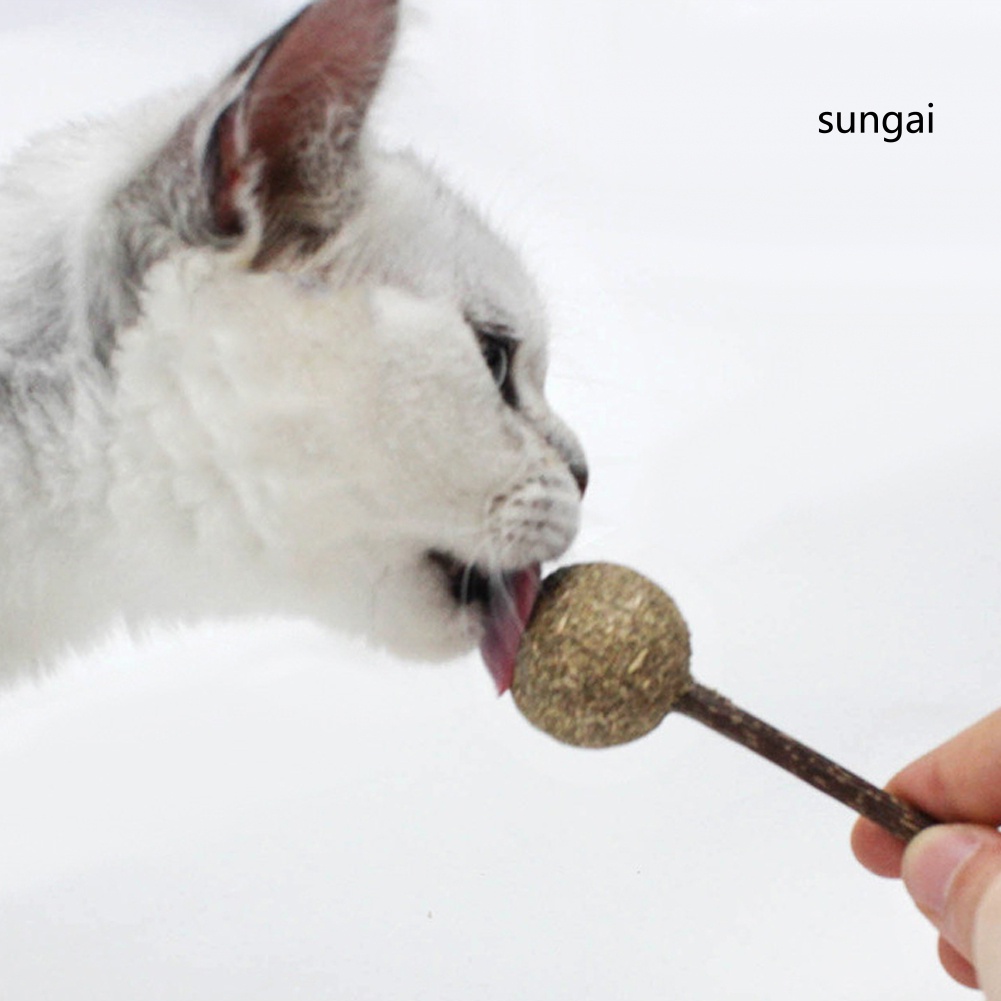 Que bạc hà đồ chơi làm sạch răng hình cây kẹo mút cho mèo thú cưng tiện dụng cao cấp