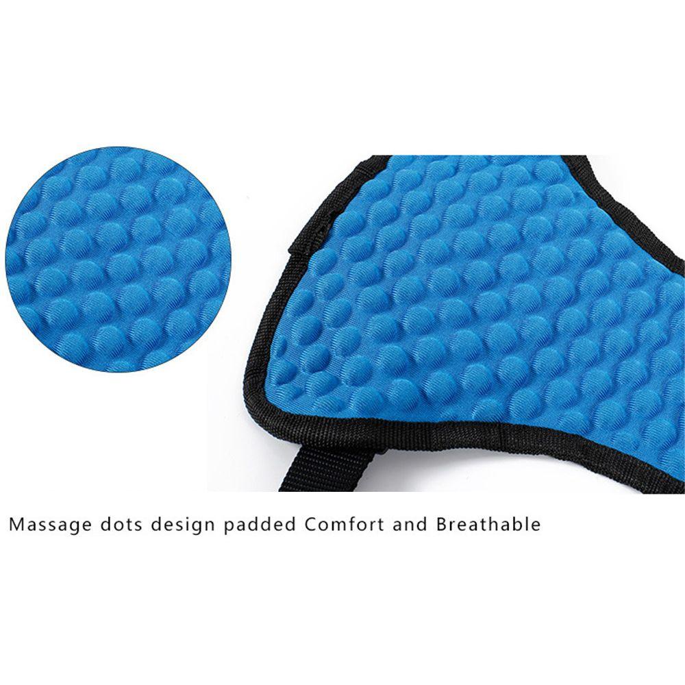 Dây ThắT An ToàN TùY ChỉNh Cho Thú Cưng Trên Xe Hơi