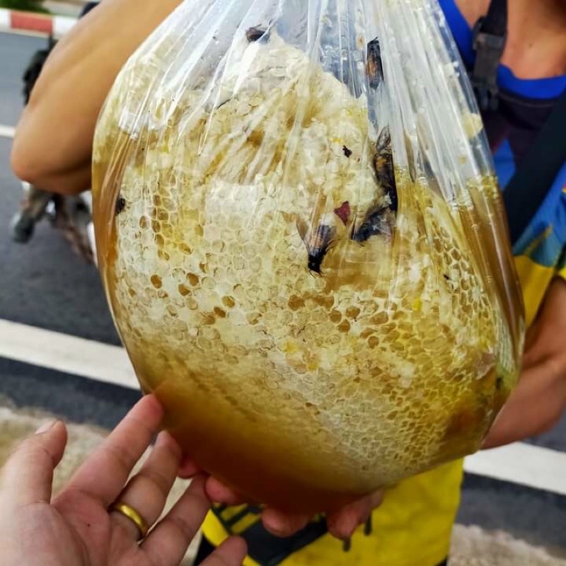 Mật ong khoái rừng quảng Ngãi 500ml