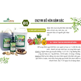 ENZYM BỒ HÒN