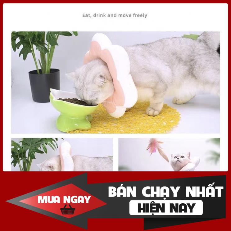 [NEW] Vòng chống liếm hình hoa cho chó mèo bông mềm mịn nhiều màu cao cấp