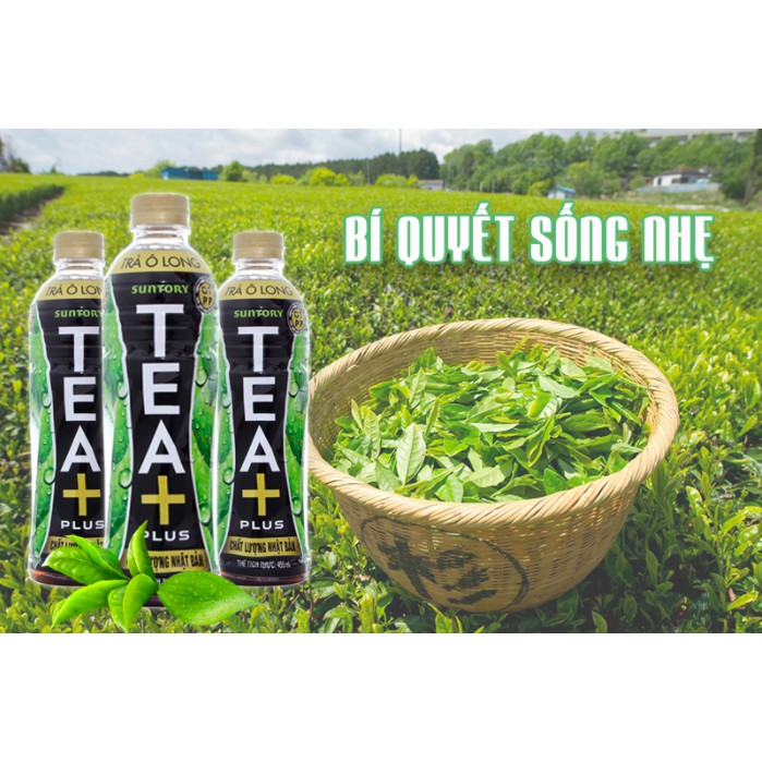 THÙNG 24 CHAI TRÀ Ô LONG/ OOLONG TEA PLUS+ 350ML