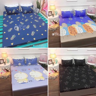 Combo 2 bộ ga gối cotton poly