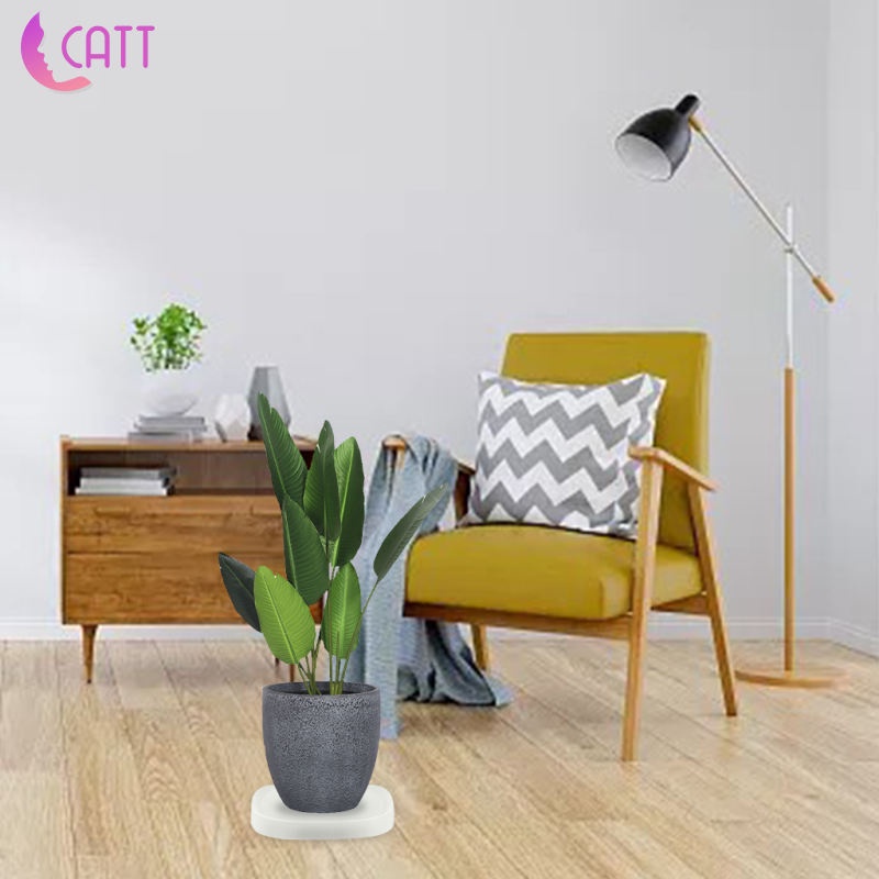 Khay Để Chậu Hoa Di Động Trong Nhà Có Bánh Xe Vô Hình 1