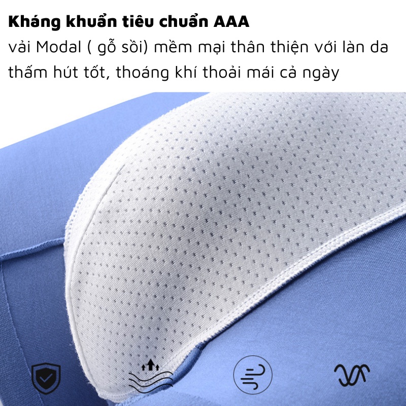 Quần lót nam, sịp đùi boxer vải Modal  mềm mại, kháng khuẩn, khử mùi cạp đúc không đường may ACX05