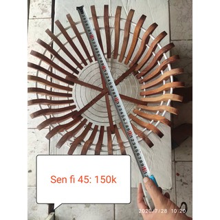 Chậu gỗ căm xe các loại