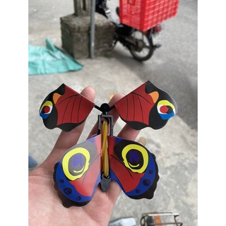 Đồ chơi bướm bay làm đạo cụ ảo thuật