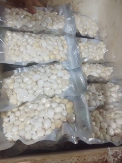 Commbo các loại hạt