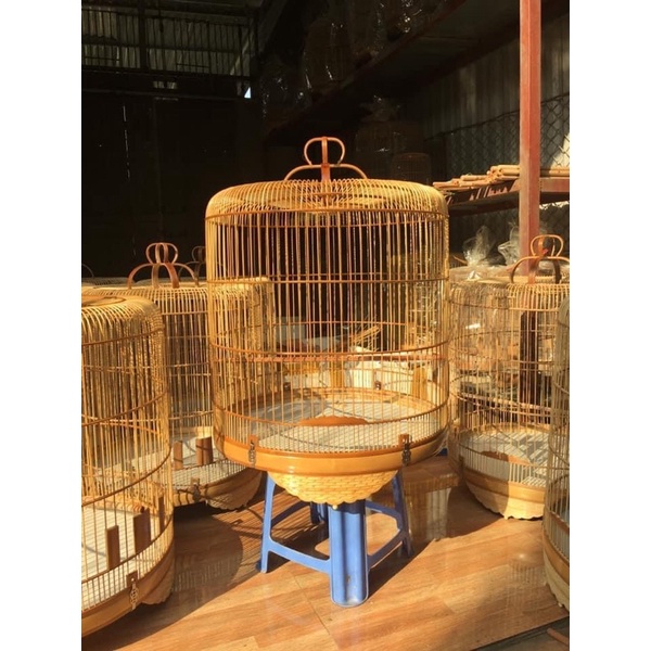 DẦU QUÉT LỒNG CHIM GIÁ RẺ