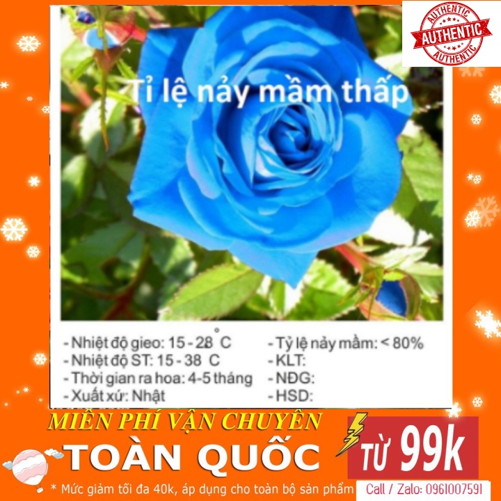 [Mã giảm giá tích lũy] [TOP] Hạt Giống Hoa Hồng Xanh - 10 Hạt [ Tặng Kèm 1 Viên Nén Xơ Dừa ]