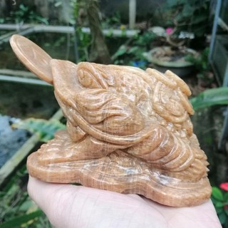 Cóc đá vân gỗ nguyên khối