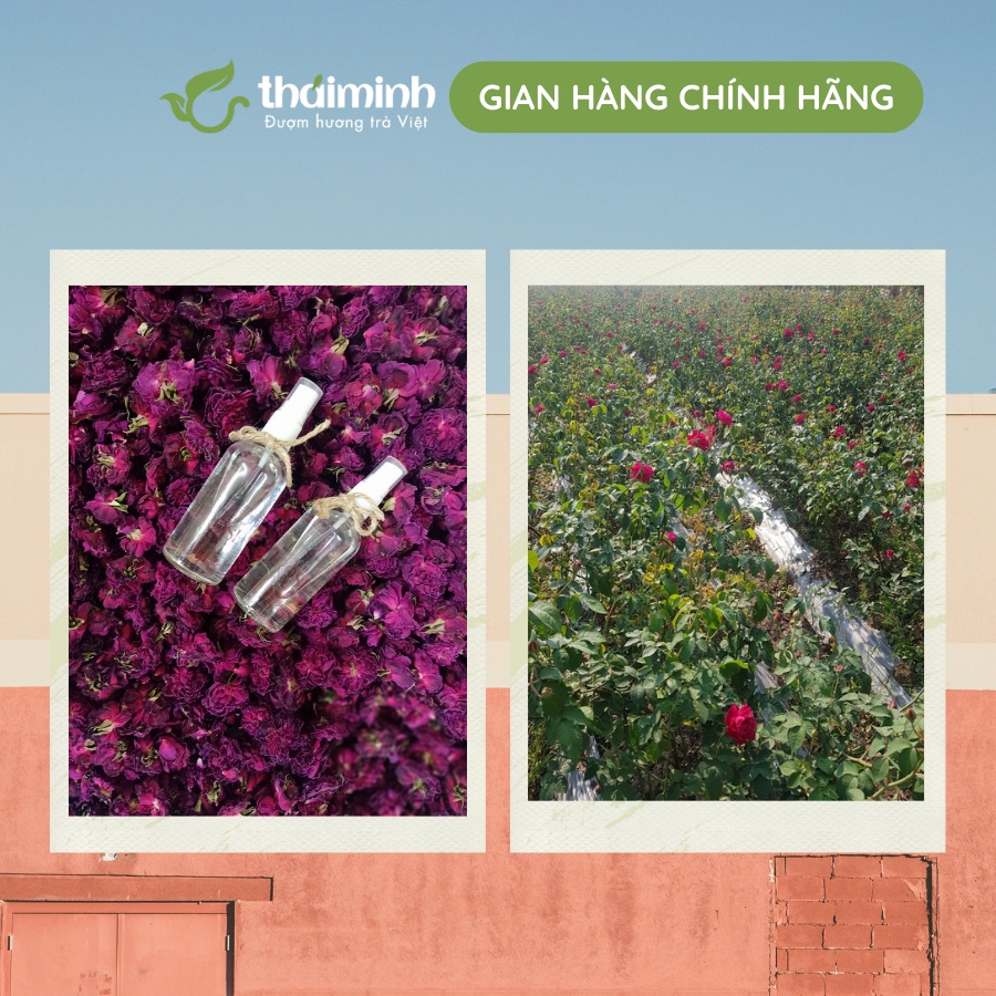 🌿CHÍNH HÃNG Trà Hoa Hồng Cổ Nguyên Bông Thượng Hạng Sấy Lạnh Thái Minh, Hũ Thủy Tinh Cao Cấp 28g 40g