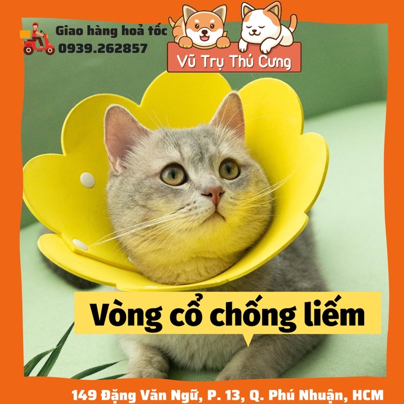 Vòng cổ chống liếm cho chó mèo, hình bông hoa dễ thương