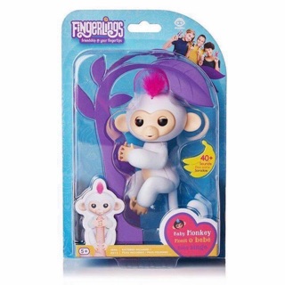  Khỉ fingerlings 