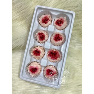 Trang trí ❤️HOA HỒNG DAVID KHÔ VĨNH CỮU NHẬP KHẨU❤️ trang trí tiệc cưới vintage, Quà tặng