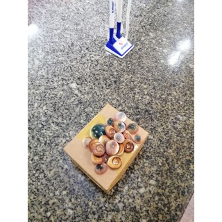 Ốc uyên ương 600k/10cặp 🐚🐚🐚🐚🐚