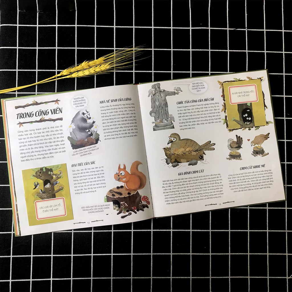 Sách - Hải Ly &quot;Giải Quyết Nỗi Buồn&quot; Ở Đâu? - Dấu vết để lại của động vật