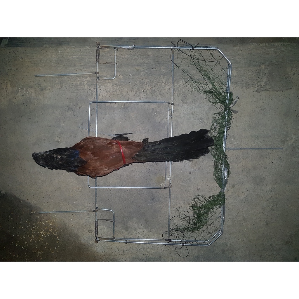 Mẹt Vuông : Bẫy Bịp , Quốc .Chiều rộng 67cm - chiều dài 80cm    Đánh Địa Hình Bằng Phẳng