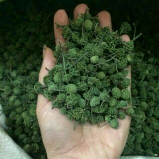 100g nụ hoa tam thất hàng loại chuẩn