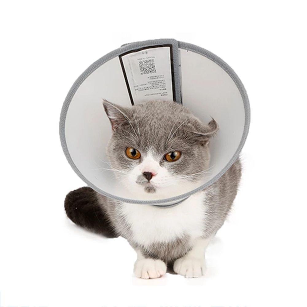 Vòng Cổ MềM MạI Cho Thú Cưng