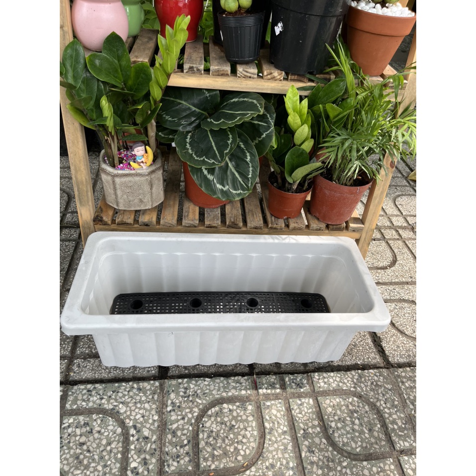 Chậu dài nhựa mini 48x20 phù hợp ban công nhỏ xinh, trồng được các loại hoa và rau
