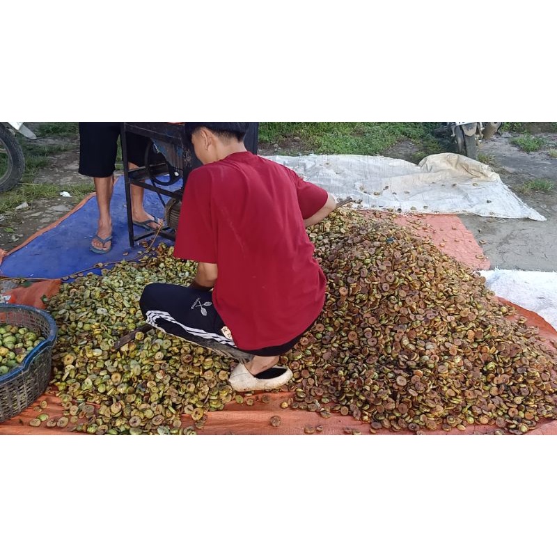 Táo mèo khô chuẩn Tây Bắc loại đẹp 1kg