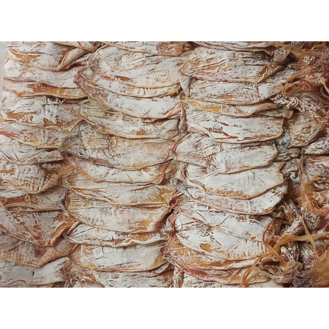 Combo 40 con mực mini Bình Định
