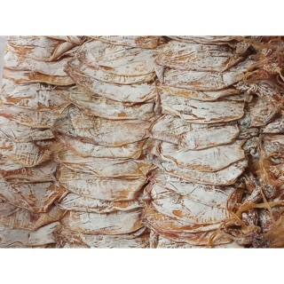 Combo 40 con mực mini Bình Định