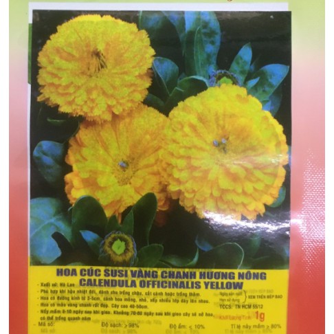 Hạt Hoa CÚC SUSI màu vàng chanh - Gói 1 gram