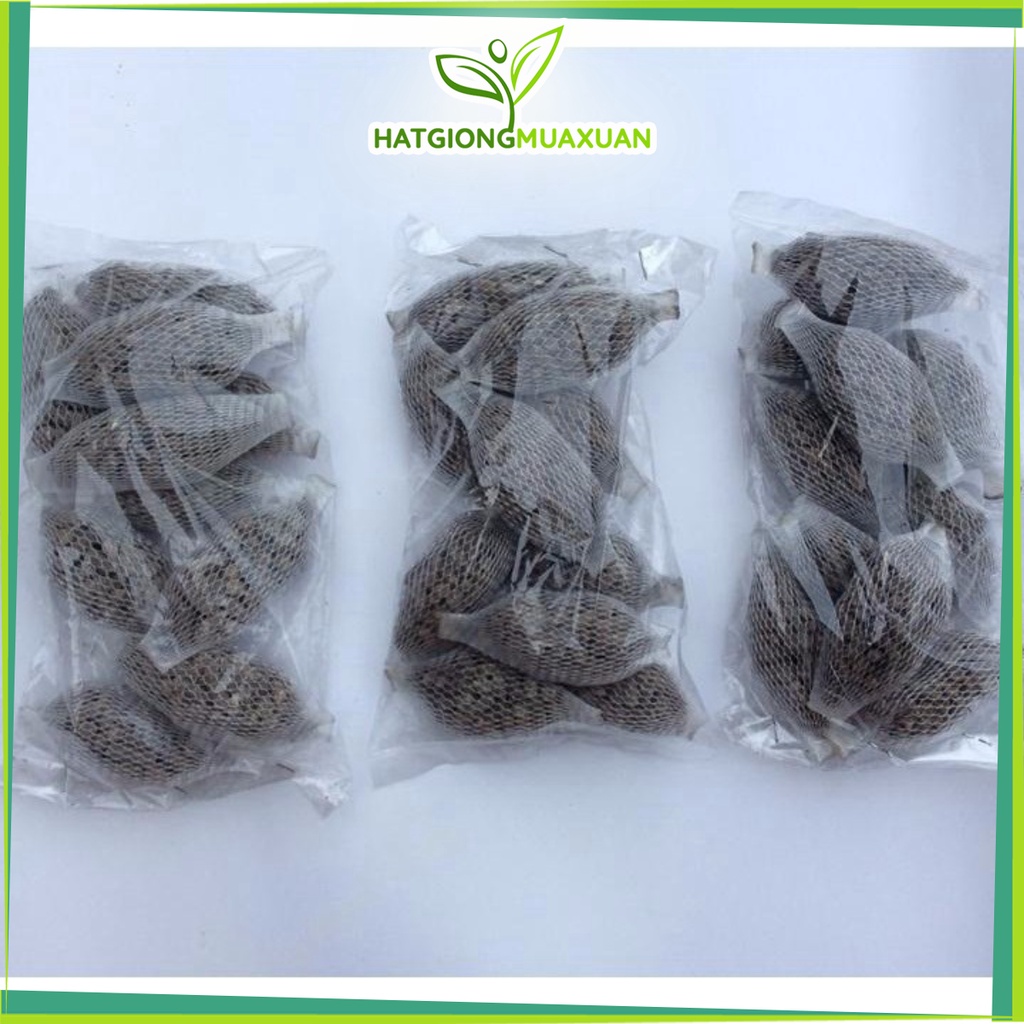 [SIEURE] Phân chậm tan Hà Lan cho hoa Lan, hồng, hoa kiểng hàng đẹp, phân phối chuyên nghiệp.