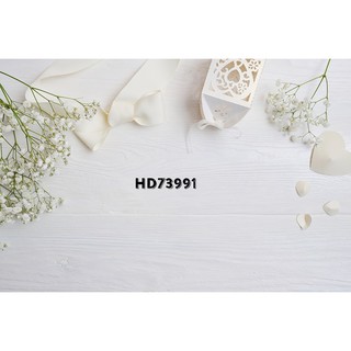 Phông nền 3D chụp ảnh