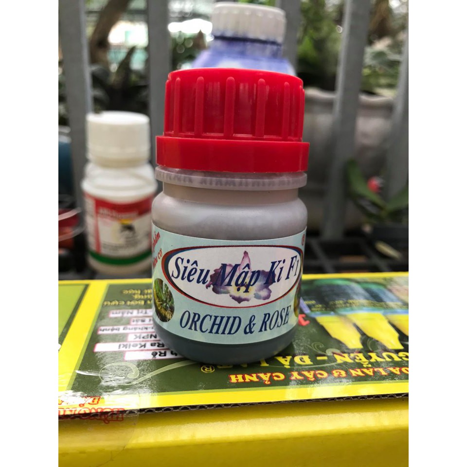 Siêu Mập Ki