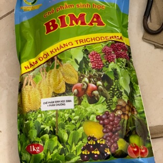 Nấm đối kháng trichoderma