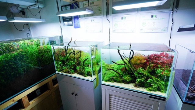 LED CHIHIROS RGB VIVID 2 (Model 2020) - ĐÈN LED CAO CẤP VIVID 2